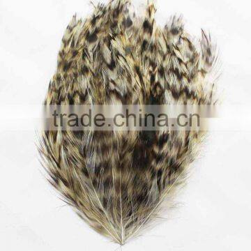 Reeves hackle feather pad in wholesale