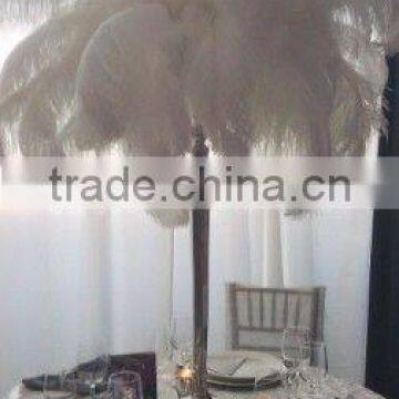 Party supply Wholesale white ostrich feathers