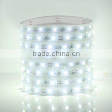 SDSLED IP67 30LED/m 3528 Natural White programmable 12v led strip light