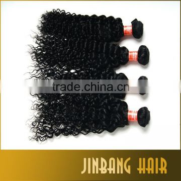 NEW Premium 4 Bundle Unprocessed Virgin Brazilian Kinky Curly Virgin Hair Brazilian Curly Hair Weave Human Hair Extensions