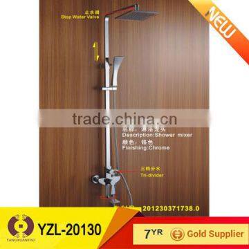 Steam shower bathroom accessory shower head with stainless hose (YZL-20130)