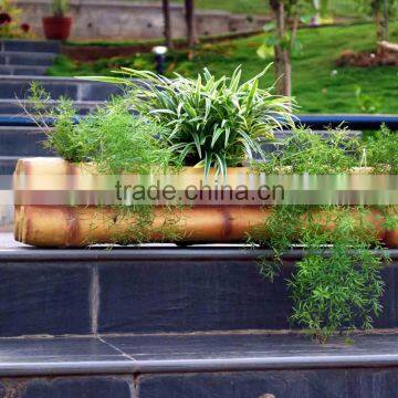 Fiberglass Planter