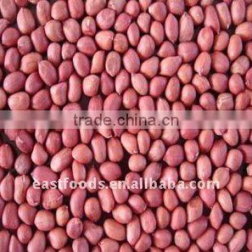 exporting red skin peanuts in china