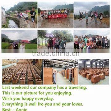 CE Approved Red Cedar Sauna Equipment Health Care Products China photo-5