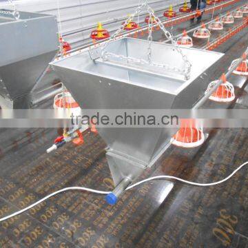 turnkey chicken farm design building