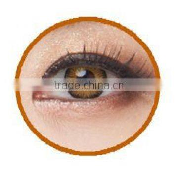 Seeshell Green Eyewear Wholesale 5 Colors Korean Contact Lenses photo-2