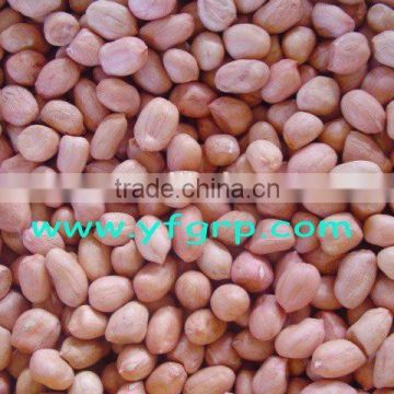 china hot sale peanut kernel red shine skin top quality big size