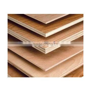 Good quality bintangor faced plywood with poplar core