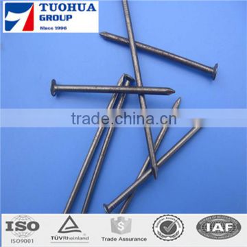 high quality common nail from china factory