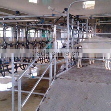 9JY fishbone goat fishbone milking parlor