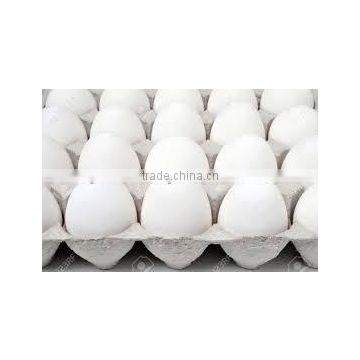 farm fresh white table egg