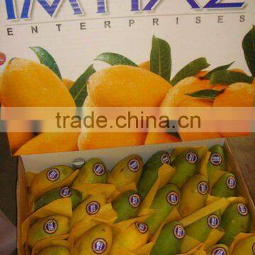 Dosehri Mango