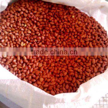 INDIAN QUALITY BOLD GROUNDNUT KERNEL 50/60