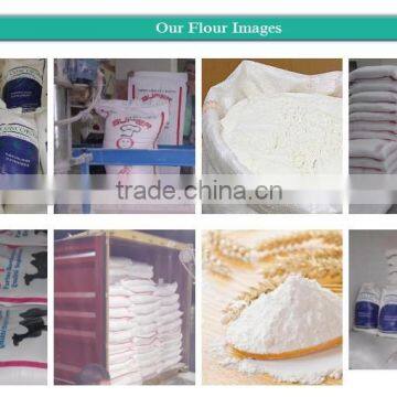 bread flour - all purpose - egyption origin - GLUTEN 24 : 24.5% - extract 72%