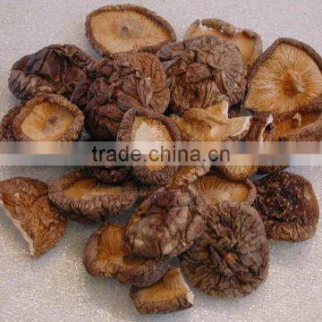 Detan Hot Dried Shiitake Mushrooms photo-5