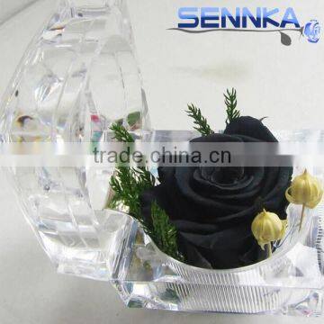 Luxury Preserved Eternal Blue Rose Ecuadorian 100% Fresh Natural Real Flower