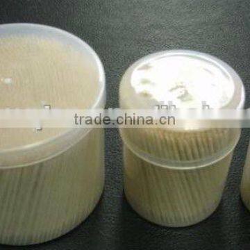 plastic bottle packed toothpicks made in China