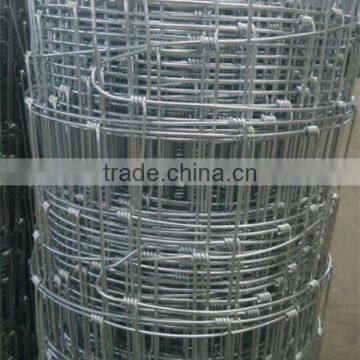 Direct Factory ISO 9001 Cattle Fence Wire Mesh photo-6