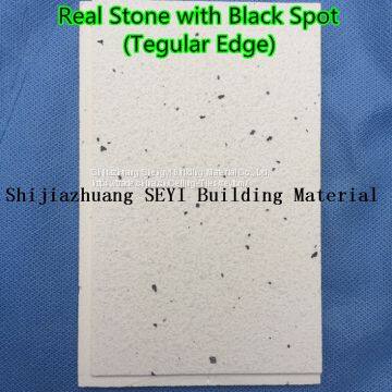 High Waterproof/ Fireproof A1-flammable PE MGO Board photo-2