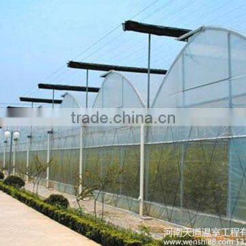 Aquaponic Tomato Greenhouse For Sale