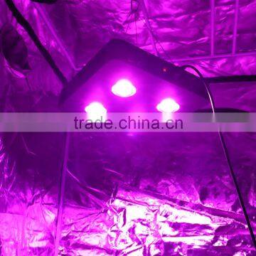 432W COB LED Grow Light Top Quality Powerful Grow Lights Available for Indoor Medical Cultivation photo-6