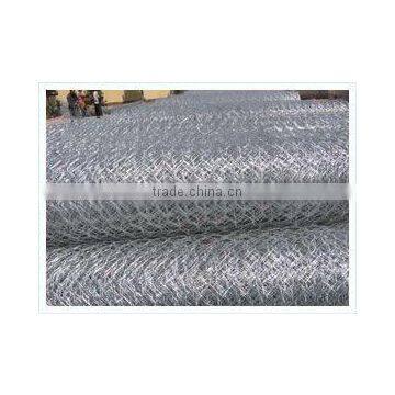 hexagonal wire mesh factory with best price