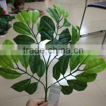 SJ070905 Artificial Longan Leaves for Longan Tree Making/artificial Tree Leave Craft photo-6