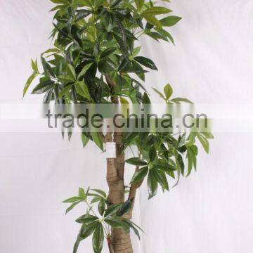 China hot sale evergreen fake money tree ,artificial Pachira