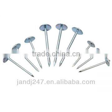 High Quality Umbrella Head Galvanized Roofing Nail photo-3