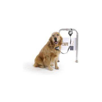 dog leash