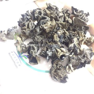 Factory Price Premium AA Grade Bulk Dried Mushroom Black Fungus 2.5CM above from CHINA Northeast