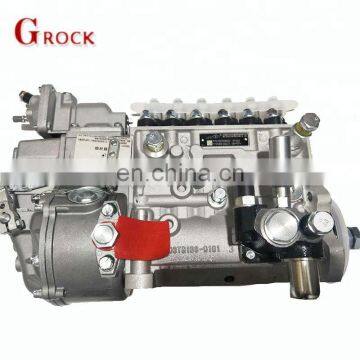 Hot Selling Chinese Fuel Engines Parts 6CT Fuel Injection Pump S00004254+01