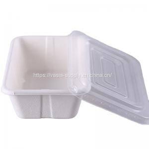 Takeaway Food Container with lid 550ml Bagasse Street Food Packaging with lid