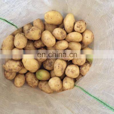 Hot Sale Many Sizes Fresh Potato For Sale photo-2