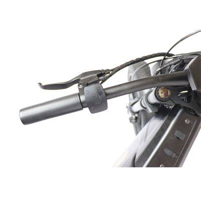 IVelo 20 Inches 1000W 48V Electric Dirt Bikes Electric Fat Tire Ebike Off Road Bicycle photo-4
