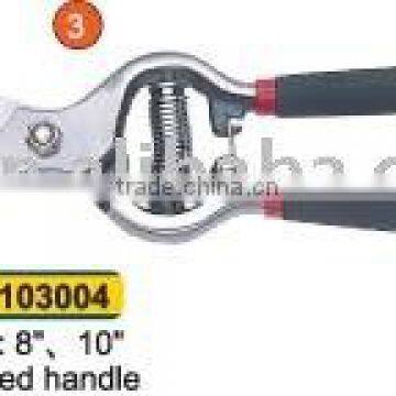 Pruning Shears