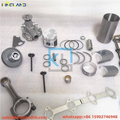 C2.2 404 Motor-Voll-Dichtungs-Kit, Kolbenlaufbuchse, Ring, Lager und Buchse für CAT