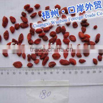 2-6 Barbary Wolfberry Fruit