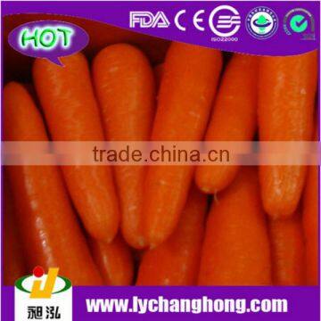 2014 factory outlet Fresh carrot for hot sale