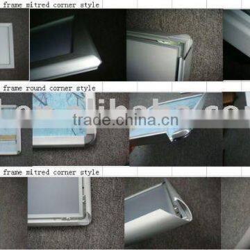 silver snap frame