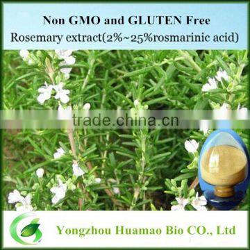 Manufacturer supply Rosemary leaf extract rosmarinic acid