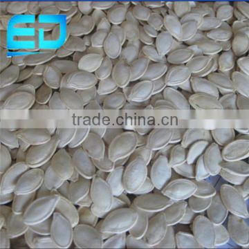 New crop shine skin pumpkin seed for sale