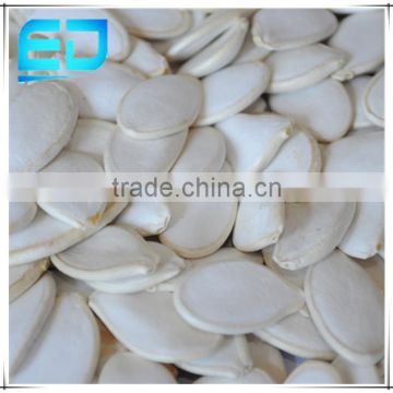 Original Raw Snow White Pumpkin Seeds, Wholesale Pumpkin Seeds