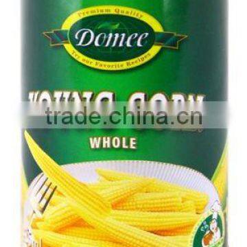 Fresh Baby Corn Buyers OEM Brand Canned Cut Baby Corn Glass Jar