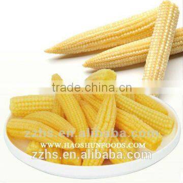 Canned Baby Corn Whole