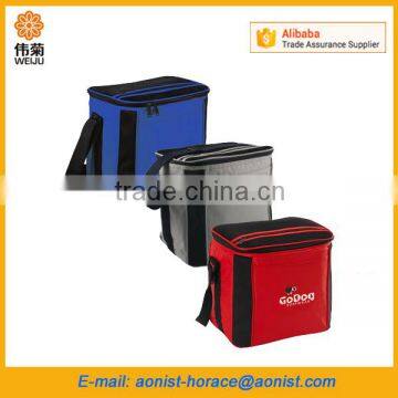 Peva Liner Insulated Lunch Cooler Bag