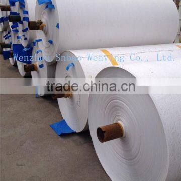 pp Woven Fabric in Rolls for Bags