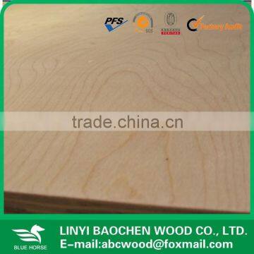 White Birch Plywood for USA