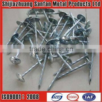 supplier of Umbrella head roofing nails