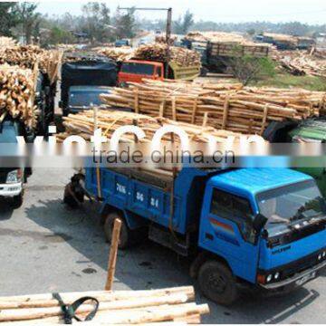 Vietnam Acacia Wood With Best Quality